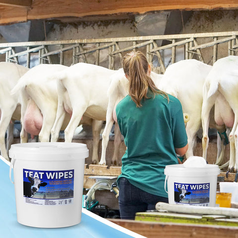 Nuanchu teat wipes udder cleaning for goat milking supplies ready to use