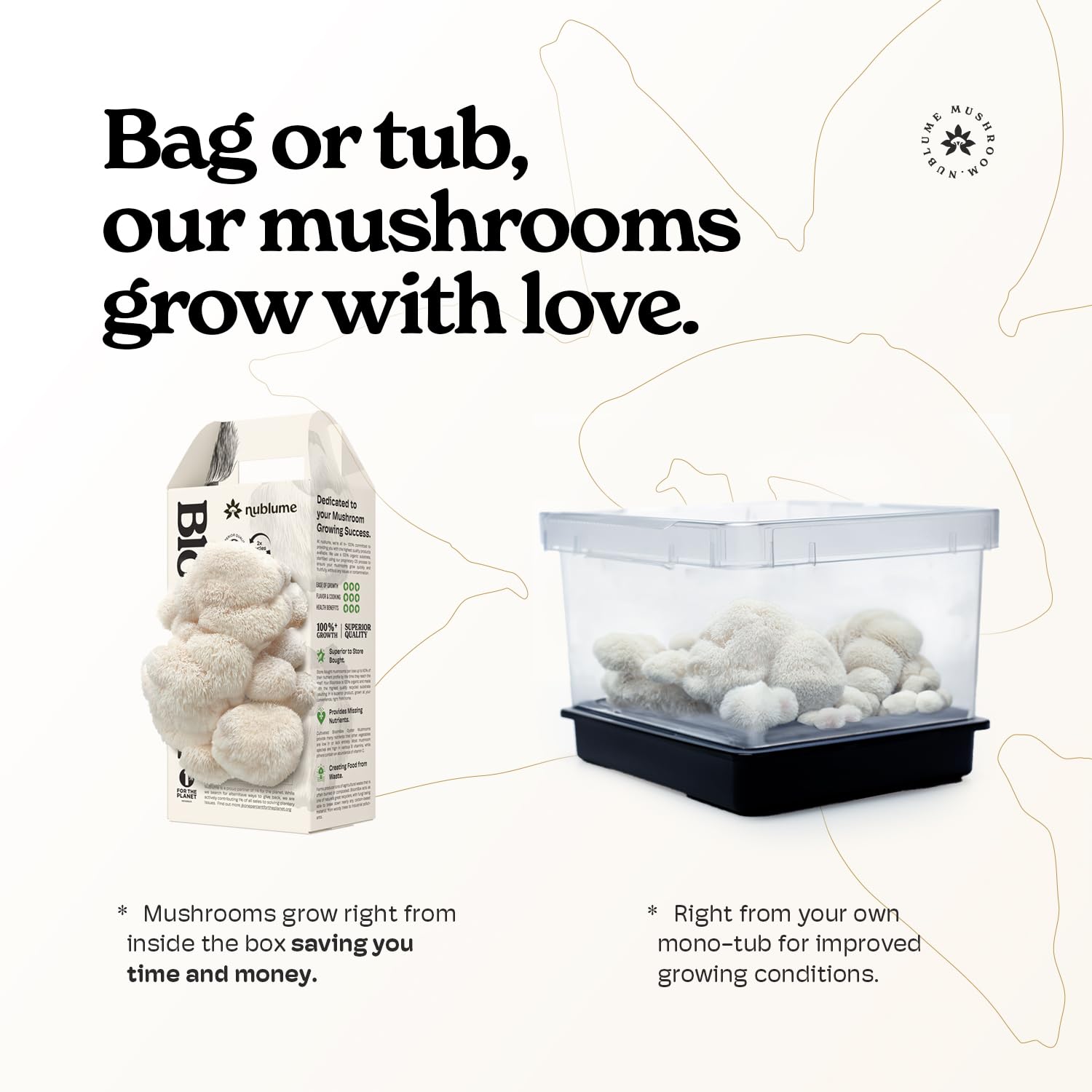 NuBlume BloomBox gift-ready packaging for thoughtful, gourmet gifts