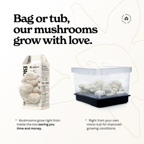 NuBlume BloomBox gift-ready packaging for thoughtful, gourmet gifts