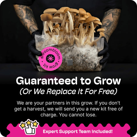 NuBlume premium substrate blend supports early, visible growth.