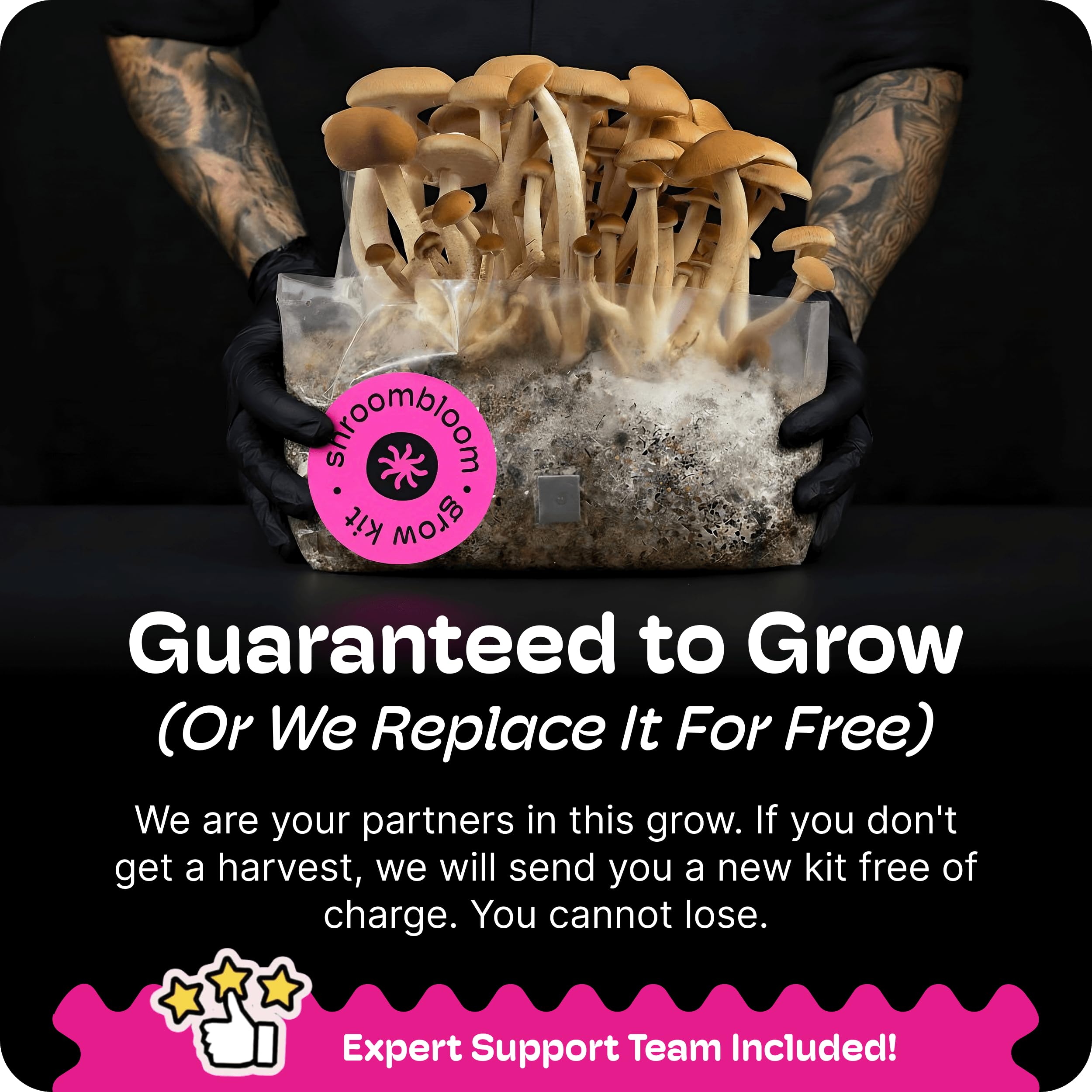 NuBlume high-yield, multi-flush harvest potential with premium substrate.
