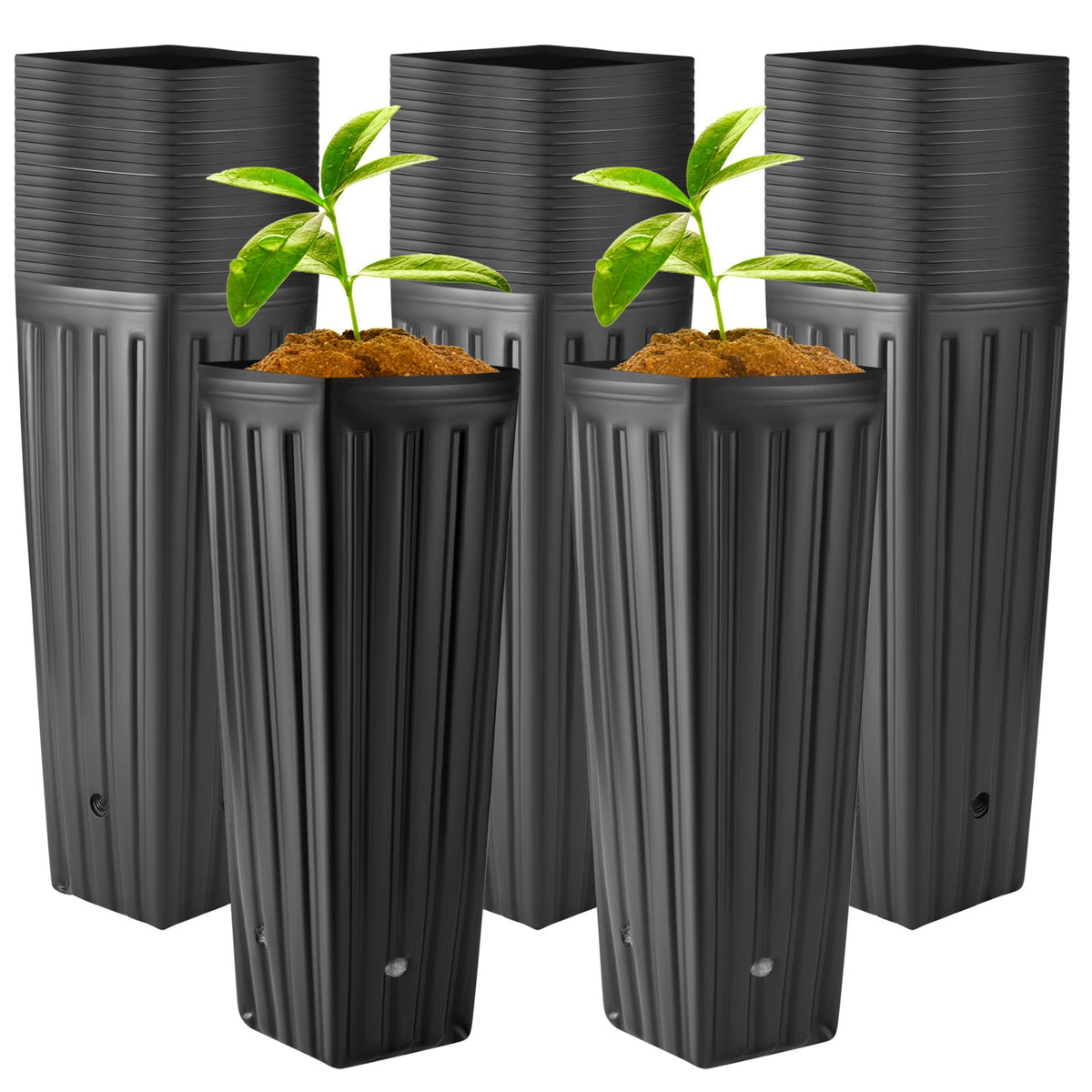 Nuenen 30-pcs tall tree pots, stackable for space-saving indoor and outdoor gardening.