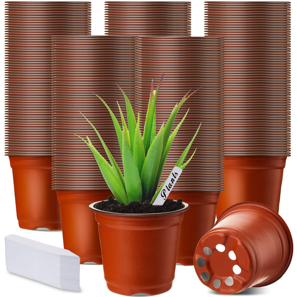Nuenen 4-inch red plastic nursery pot ready for seedlings.