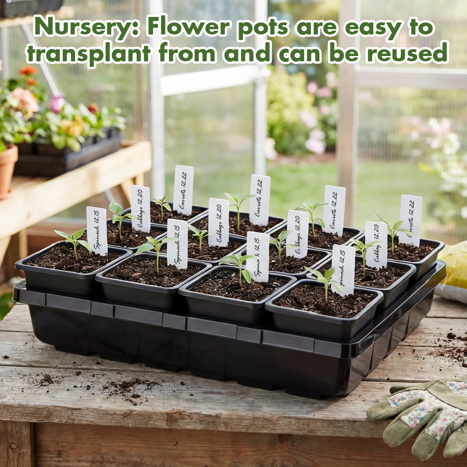 Nuenen pots with drainage holes prevent waterlogging and promote airflow.