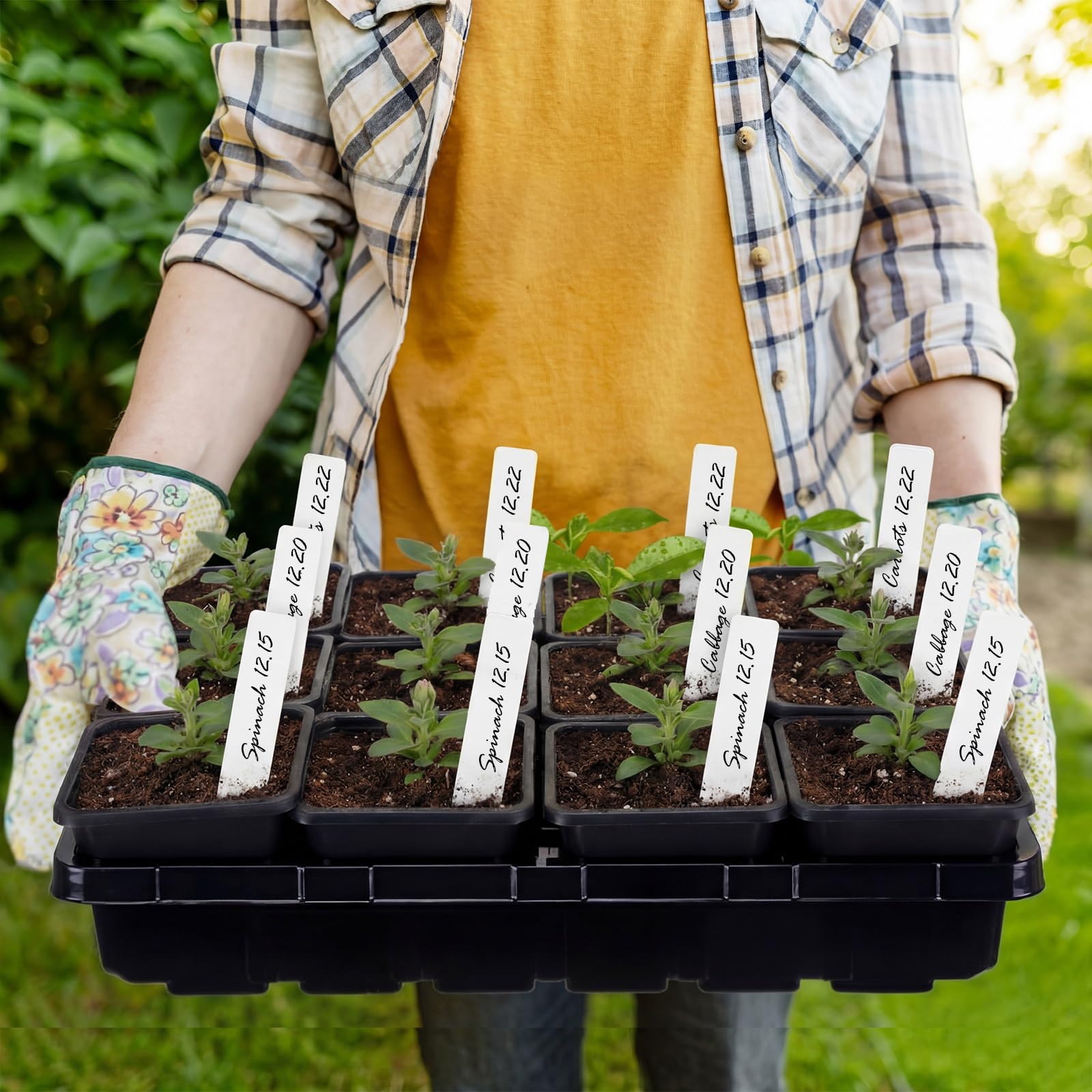 Nuenen moisture retention plastic aids consistent moisture during germination.