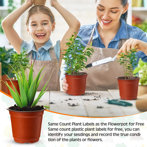 Pots shown in both indoor and outdoor gardening setups.