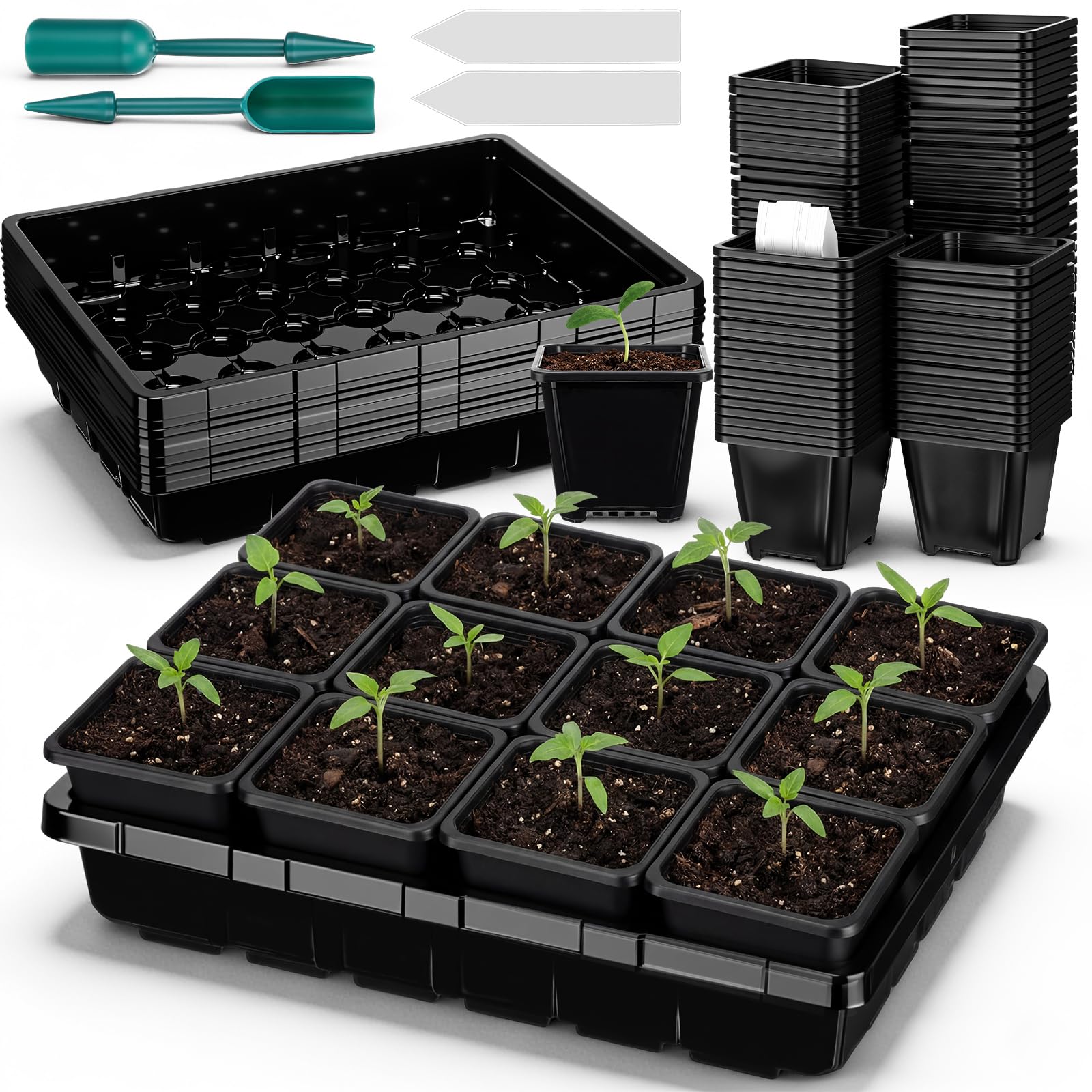 Nuenen six-set seed starter tray ready for germination projects.