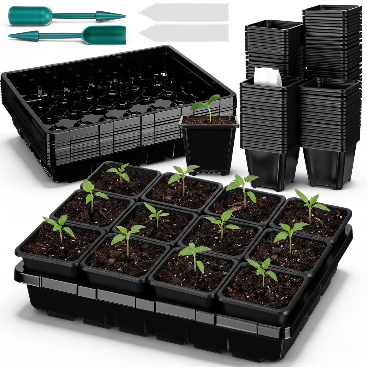 Nuenen six-set seed starter tray ready for germination projects.