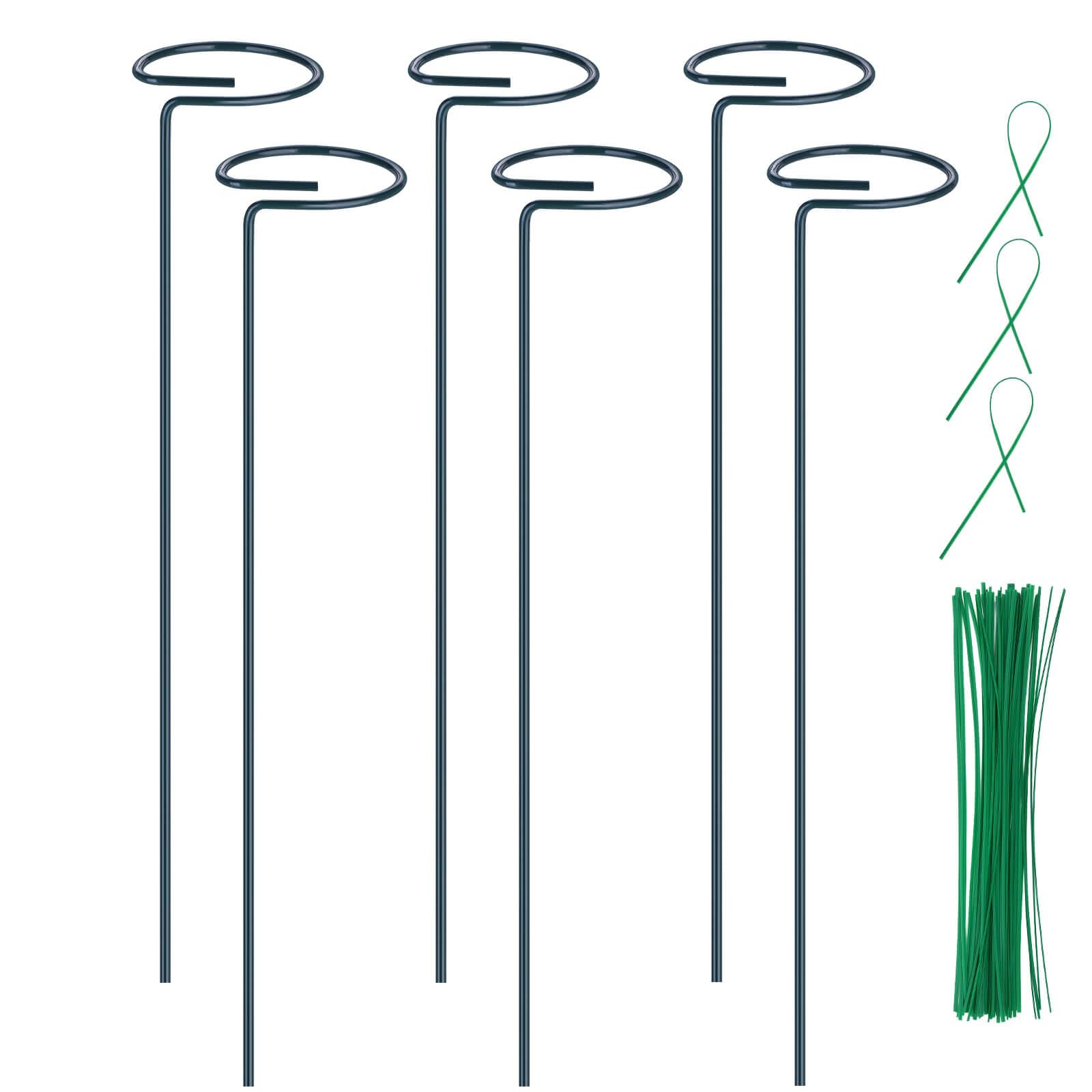 Numyew 16-inch plant stake provides steady 360° support for upright stems.