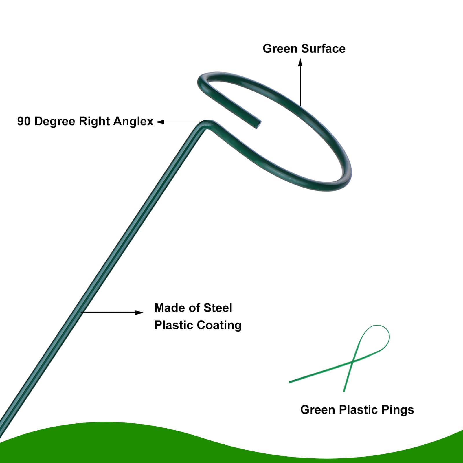 Numyew circular-ring stake supports blooms without crowding in pots.