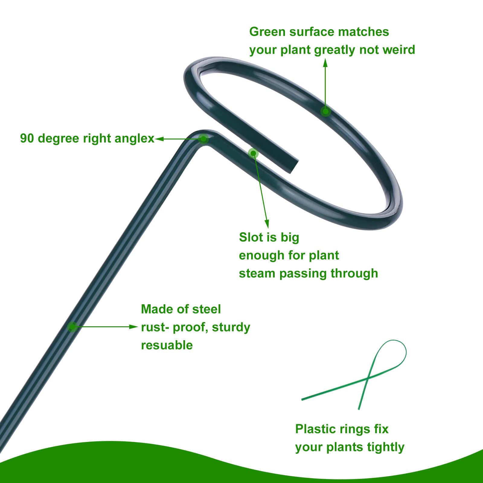 Numyew DIY plant support stake 36-inch offers tall stake for vines and amaryllis