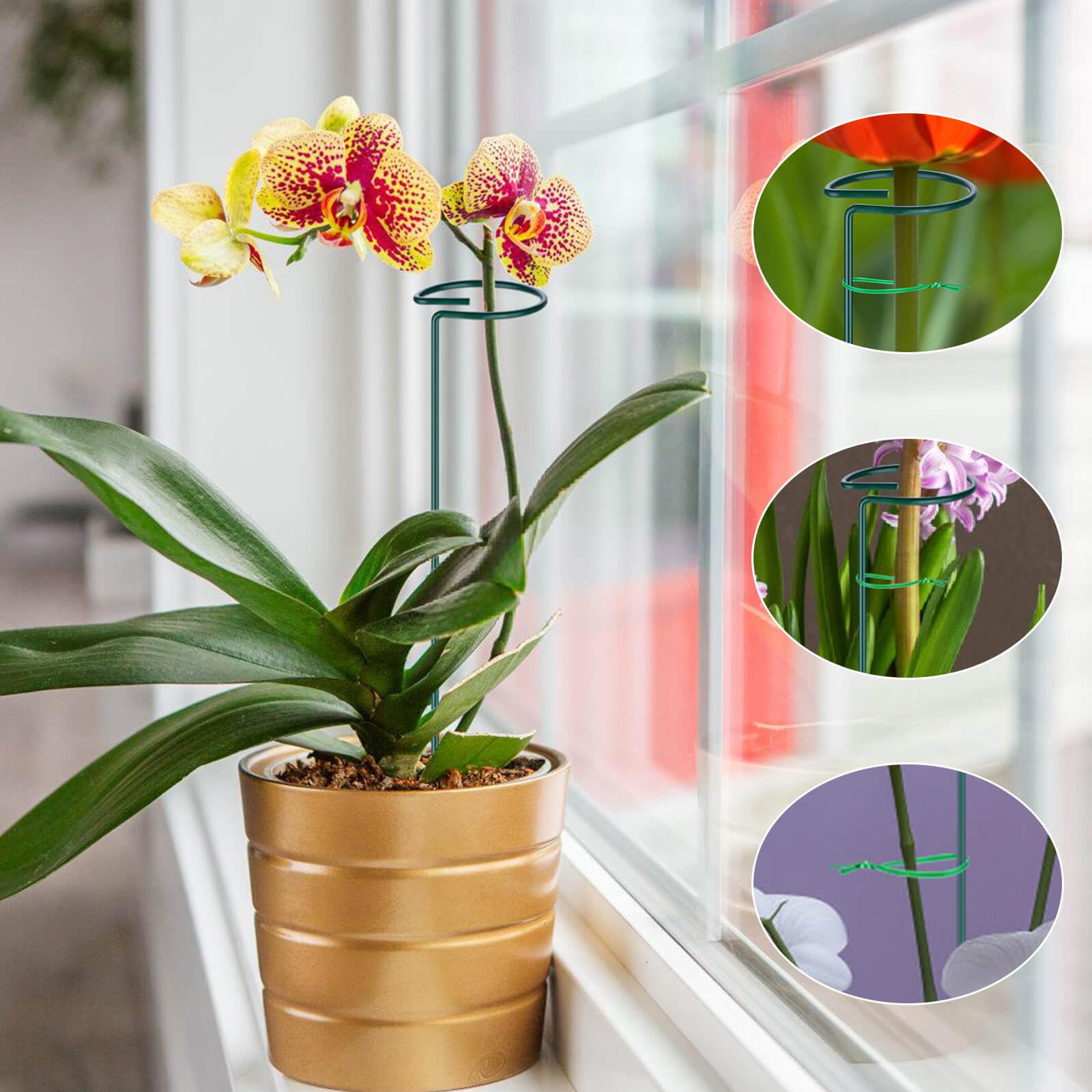 Numyew garden stakes suited for indoor pots, balcony greenery, and beds.