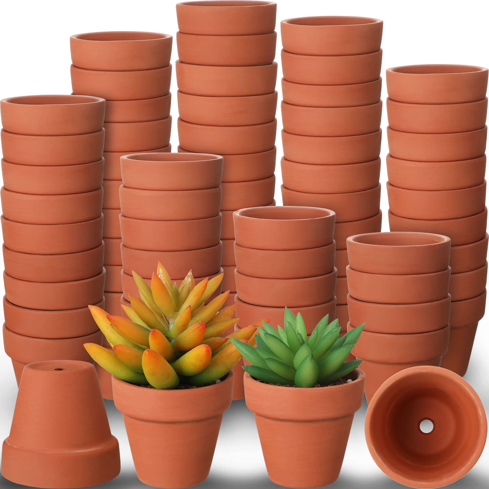 Nuogo mini terracotta pot with drainage holes, ideal for tiny succulents.