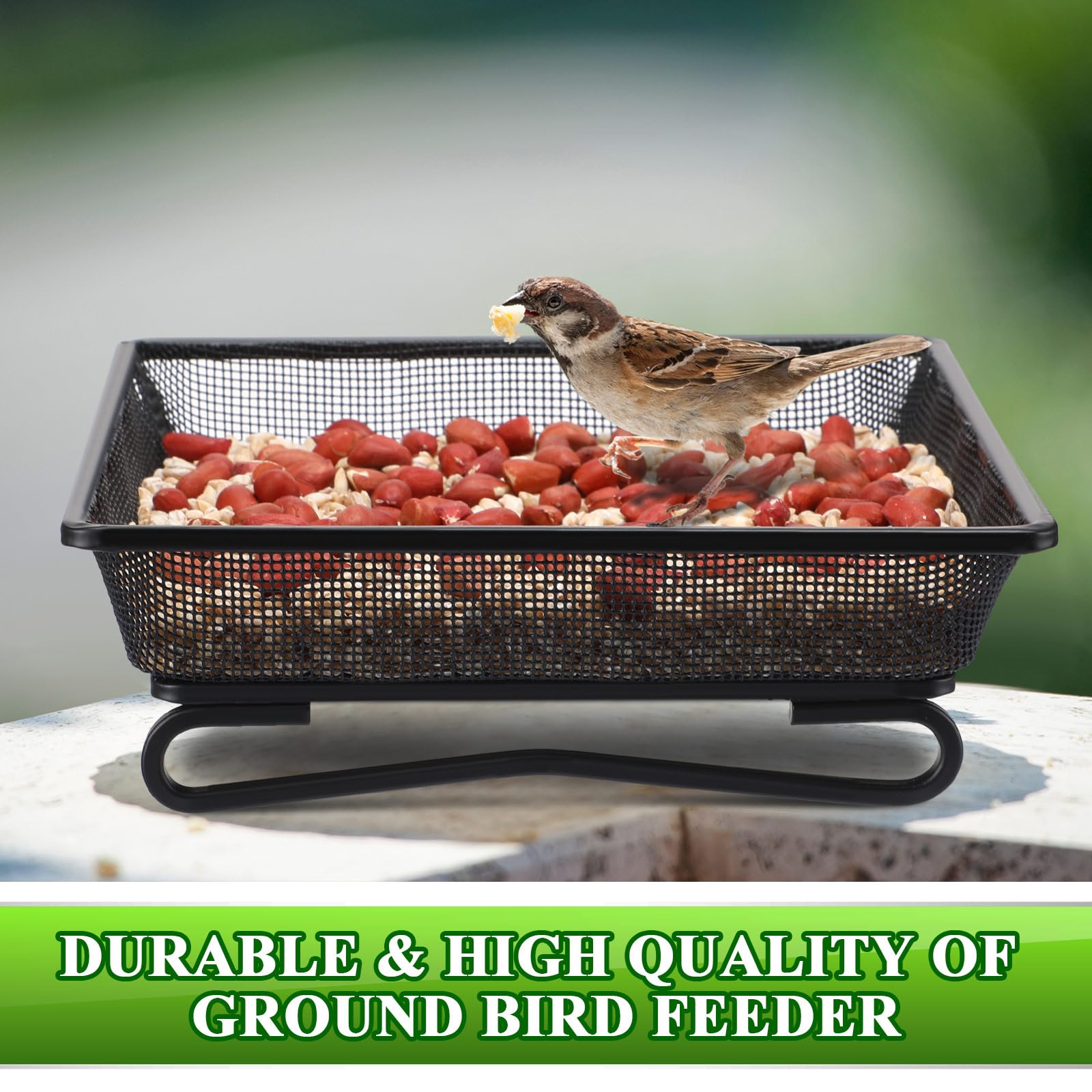 Nuogo outdoor decorative tray - ideal garden centerpiece that doubles as a wildlife gathering spot