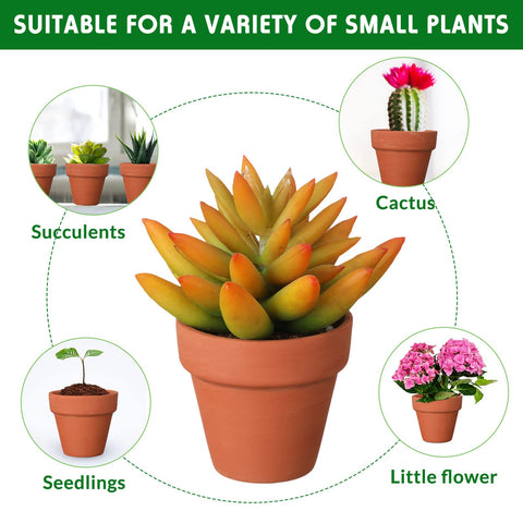 Nuogo terracotta pot suitable for succulents and small cactus displays.