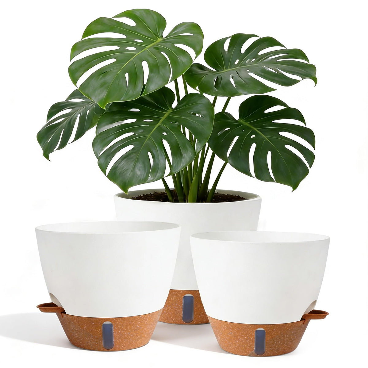 Nuotuv 8-inch self-watering pot with level indicator supports steady moisture