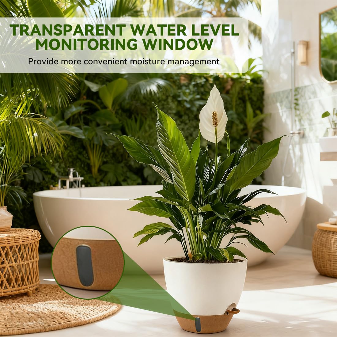 Nuotuv detachable-base drainage preserves floors while promoting airflow around roots