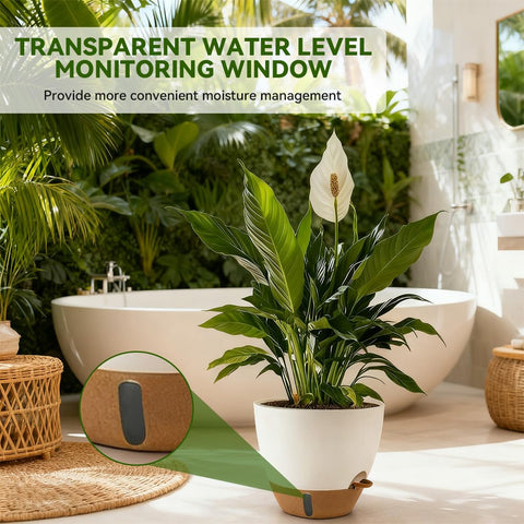 Nuotuv detachable-base drainage preserves floors while promoting airflow around roots