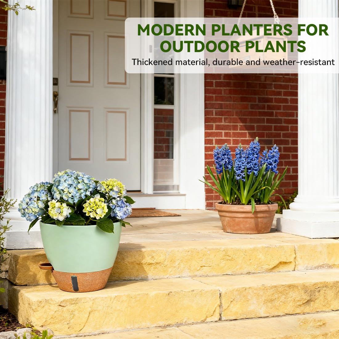 Nuotuv self-watering pot with detachable base for easy cleaning.