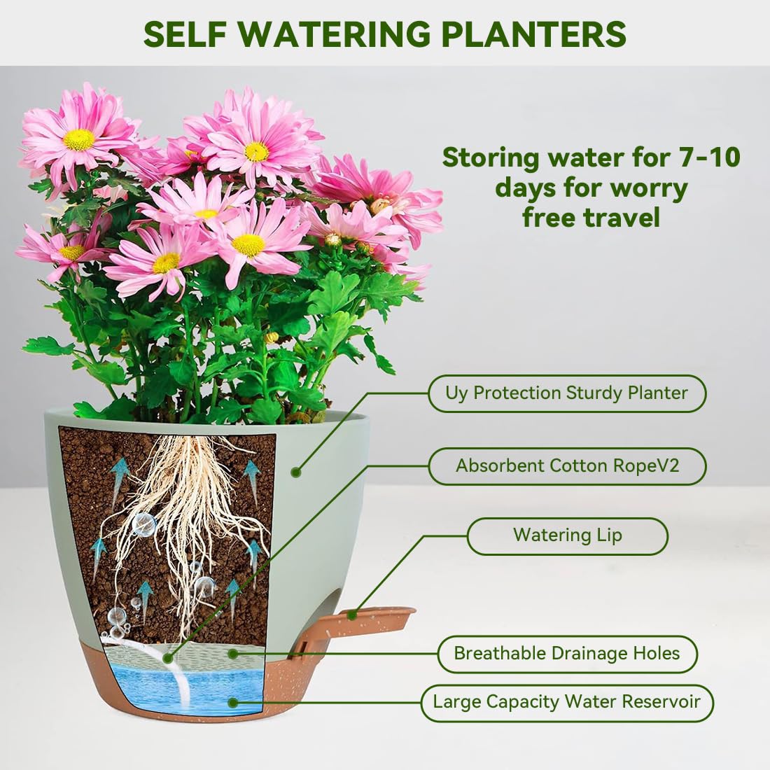Nuotuv self-watering pot supports root oxygen flow for healthy growth.