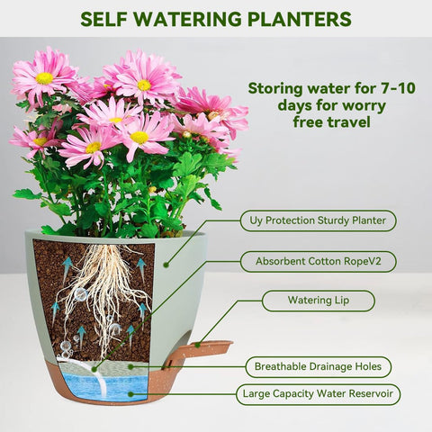 Nuotuv self-watering pot supports root oxygen flow for healthy growth.
