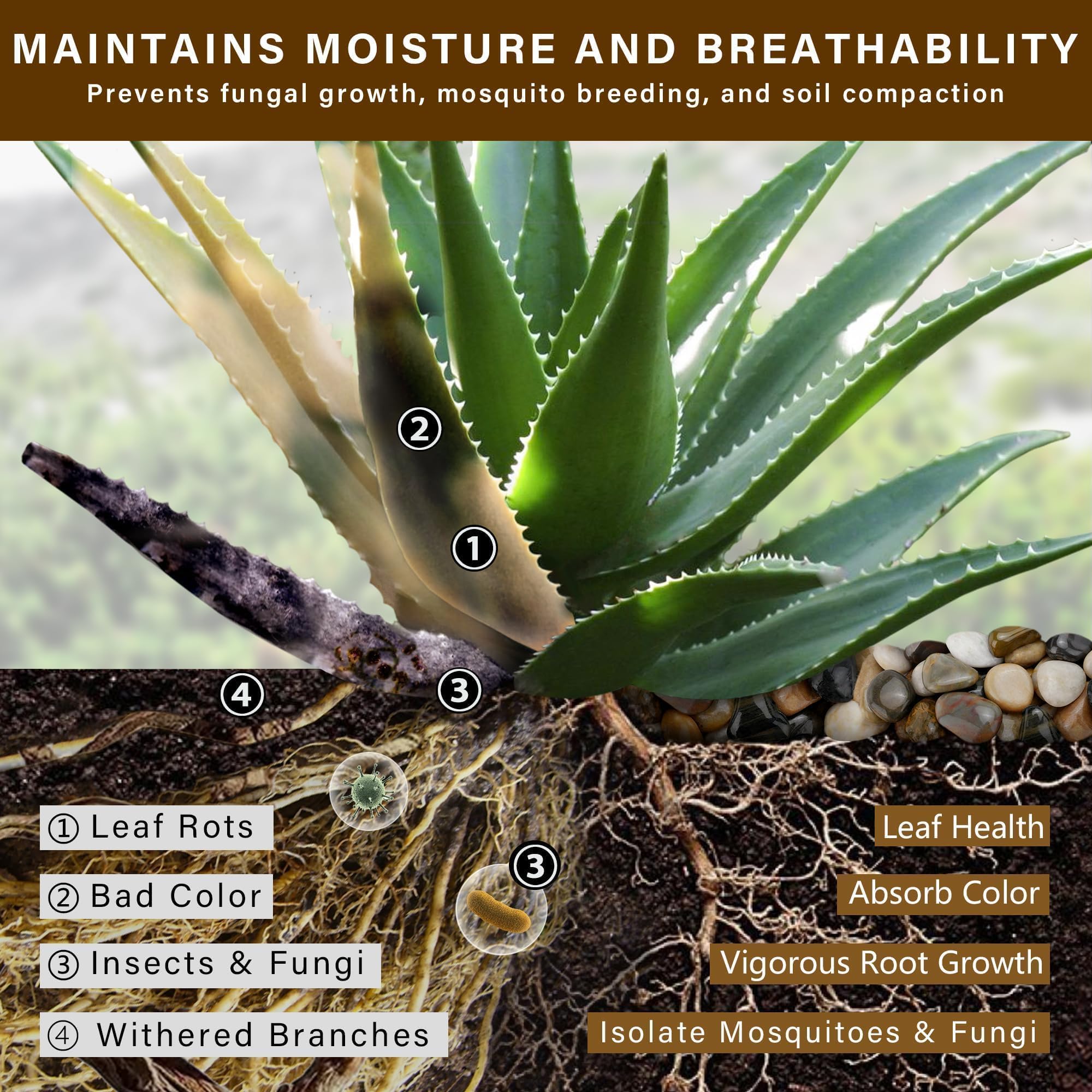 NUPICK 1-2in river pebbles improve moisture retention in succulent pots.