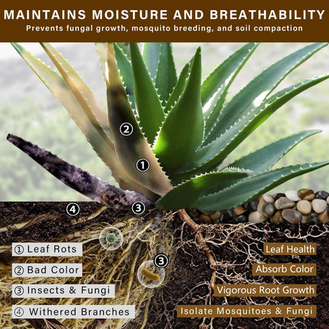 NUPICK 1-2in river pebbles improve moisture retention in succulent pots.