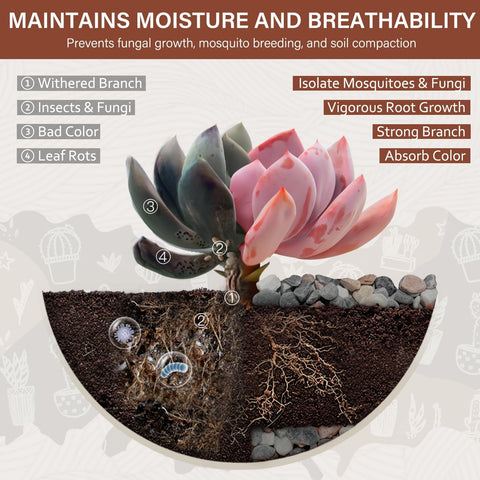 NUPICK pebbles in a pot showing bottom-placement for drainage and root health