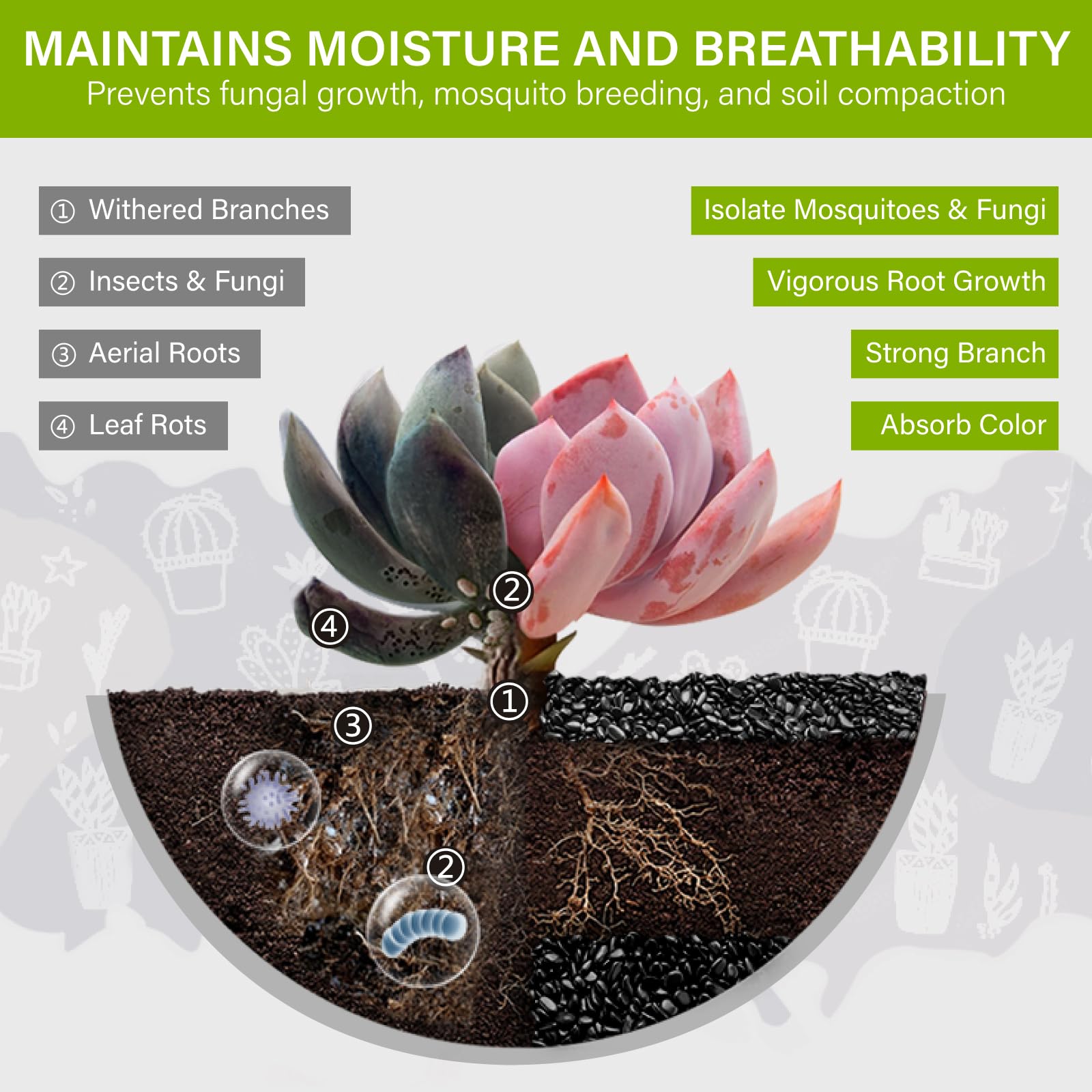 NUPICK decorative pebbles for vase fillers elevate arrangements with easy cleaning.