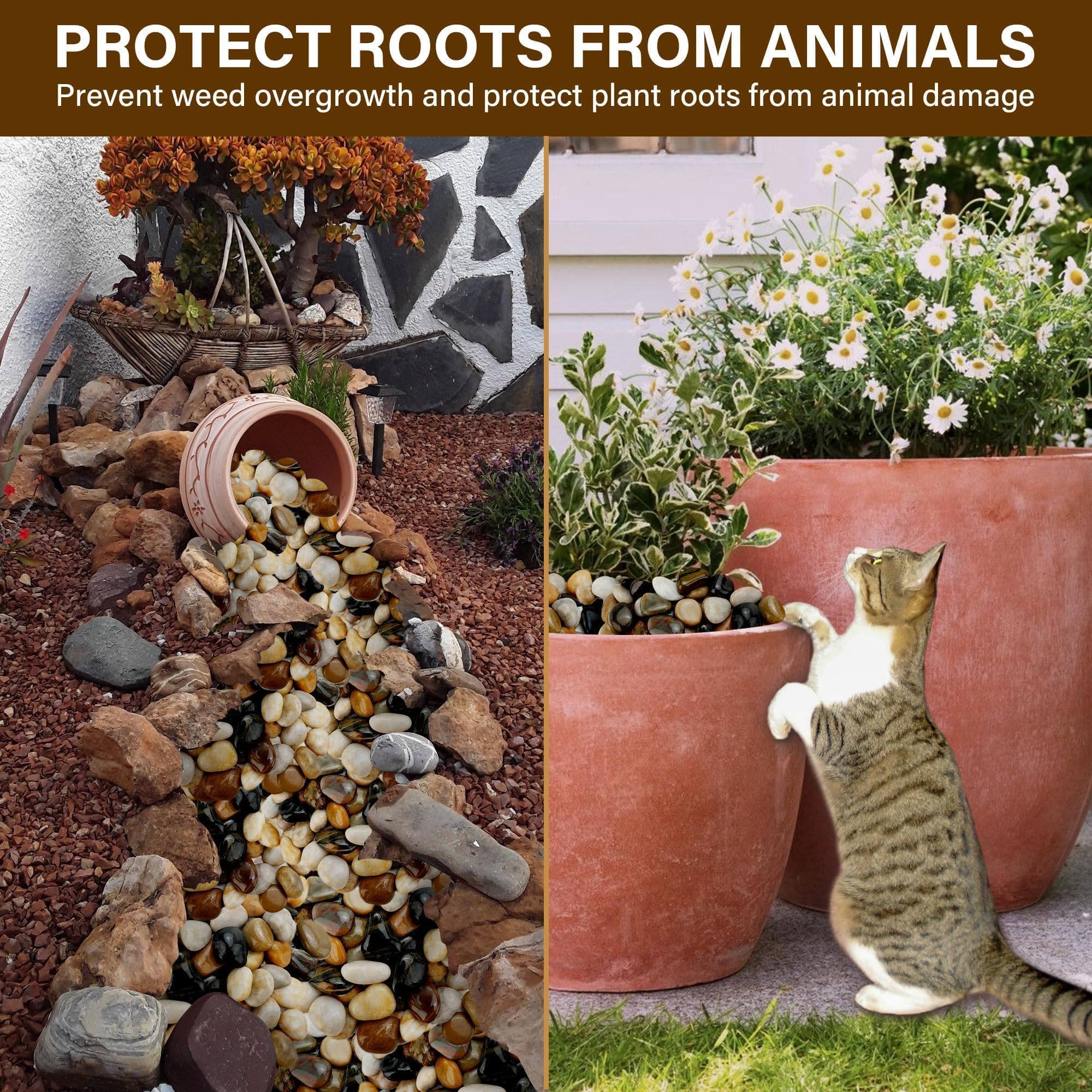 NUPICK decorative rocks for vases create focal points in arrangements.