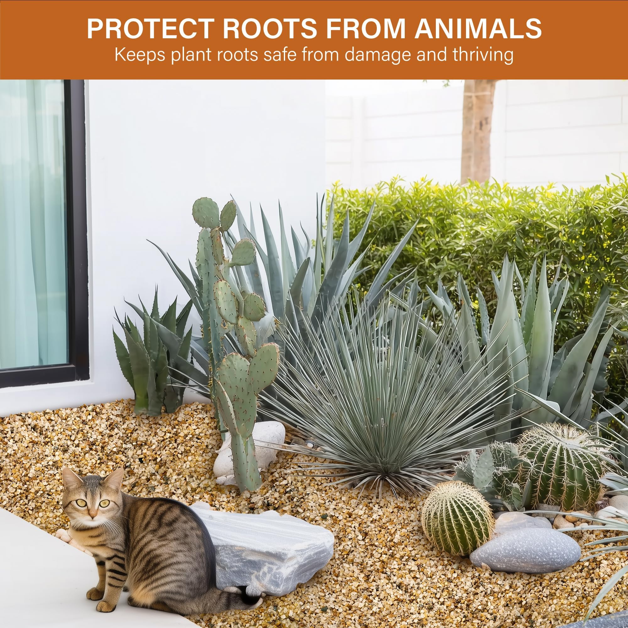 NUPICK decorative sand mulch for planters and indoor decor.