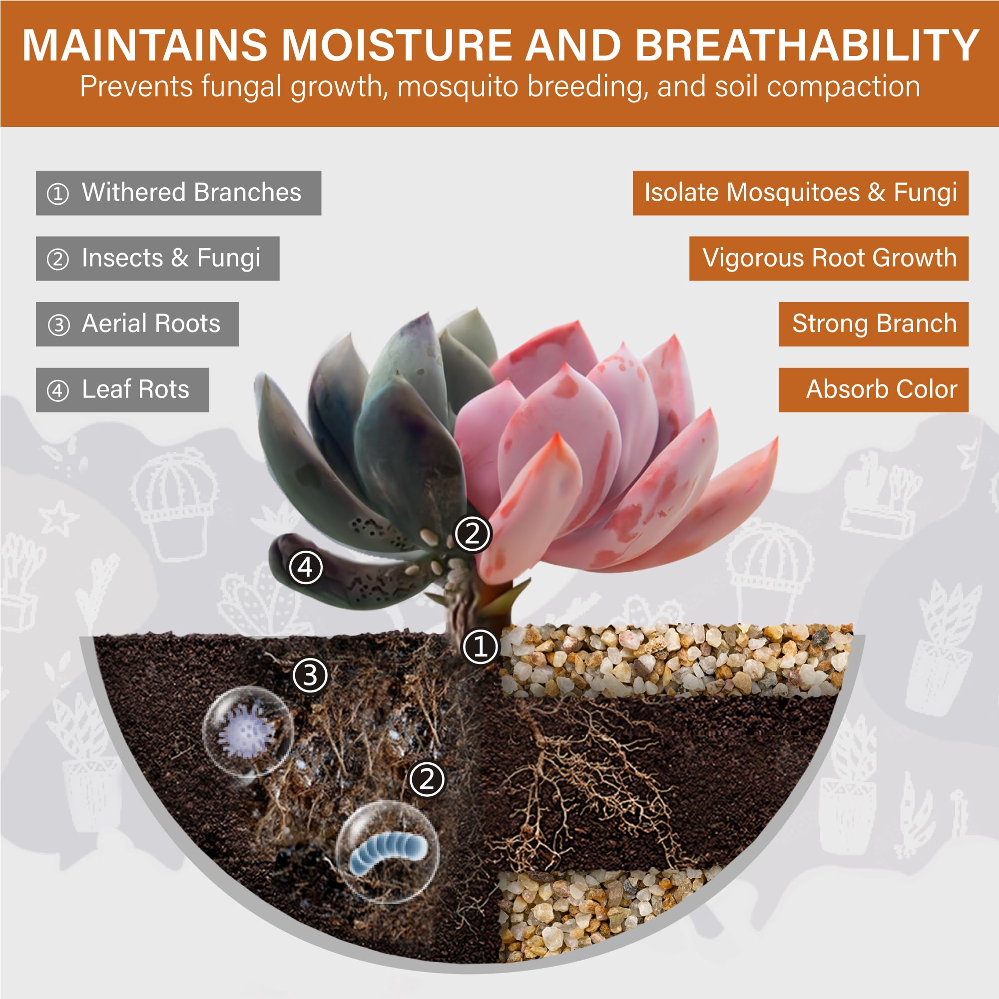 NUPICK desert gold sand as aquarium substrate for clear water.