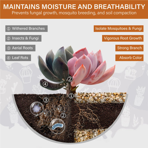 NUPICK desert gold sand as aquarium substrate for clear water.