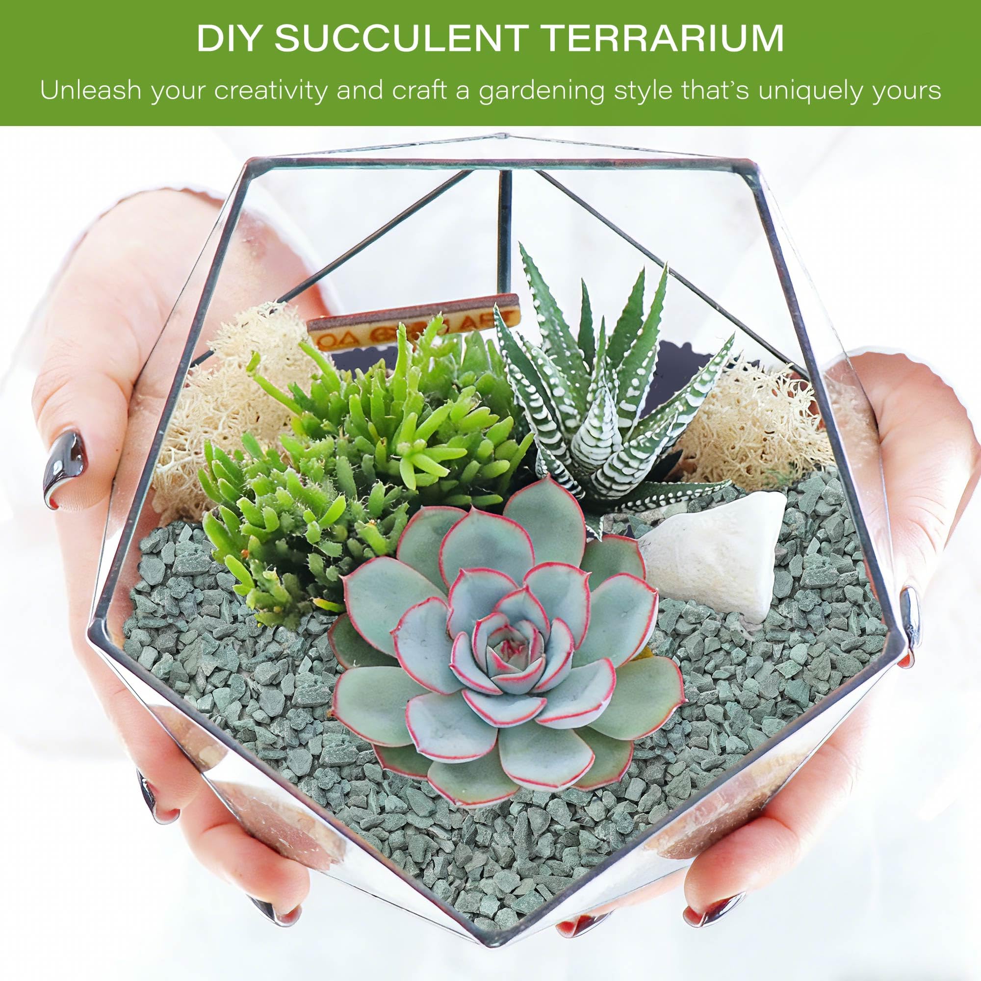 NUPICK green zeolite granules close-up highlight uniform color for decorative planters.
