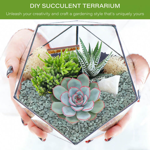 NUPICK green zeolite granules close-up highlight uniform color for decorative planters.