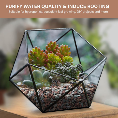 NUPICK lava rocks for cacti offer decorative garden accents