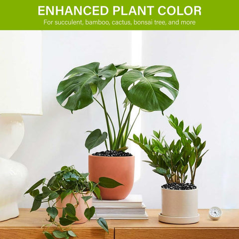 NUPICK natural polished stones for bonsai add elegance while protecting delicate roots.