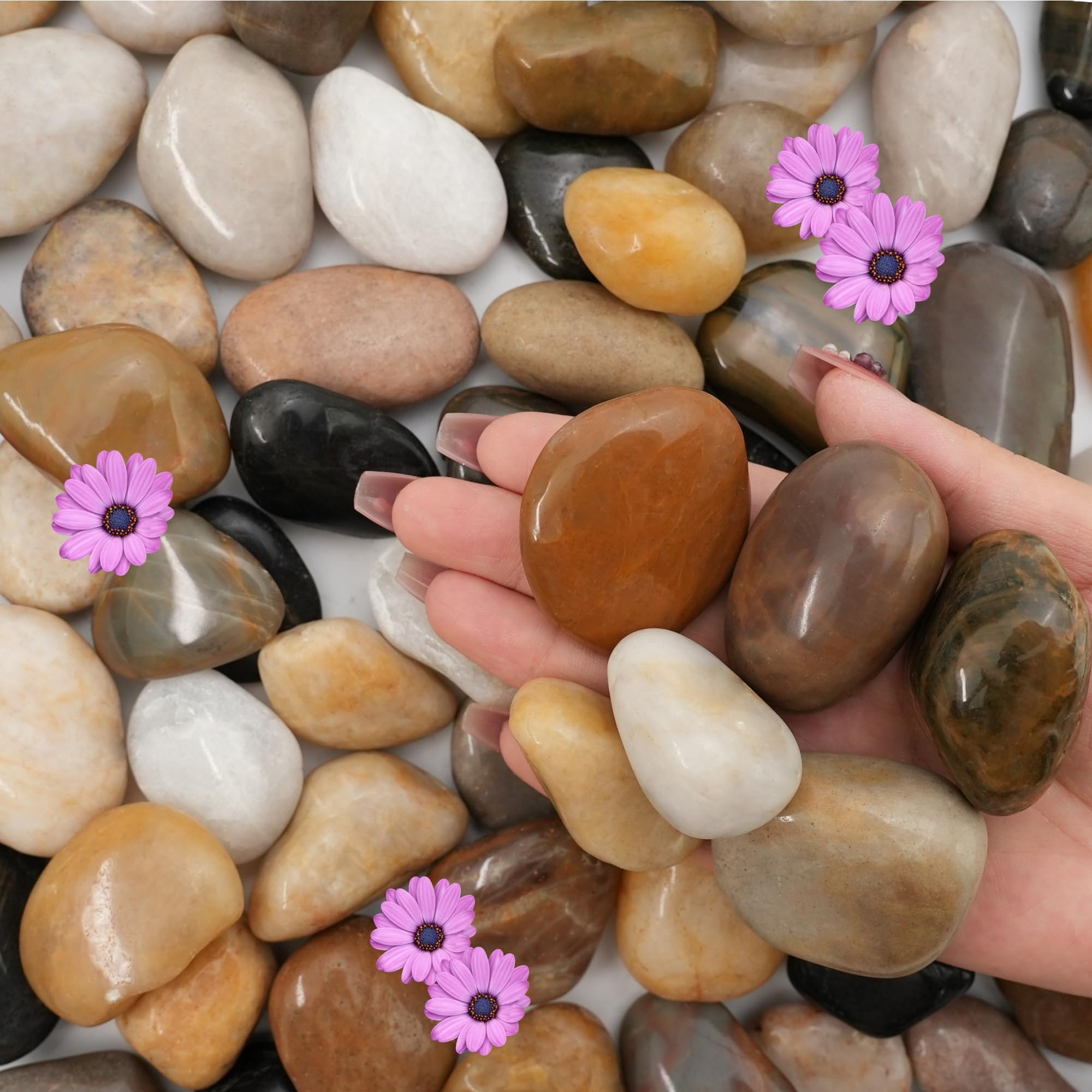 NUPICK 16lb river rocks pack enhances indoor planters with natural color and lasting beauty.