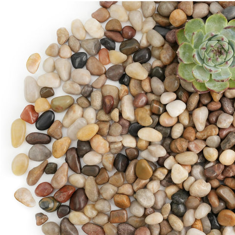 NUPICK river rocks for indoor plants 1-5 inch provide long-lasting beauty