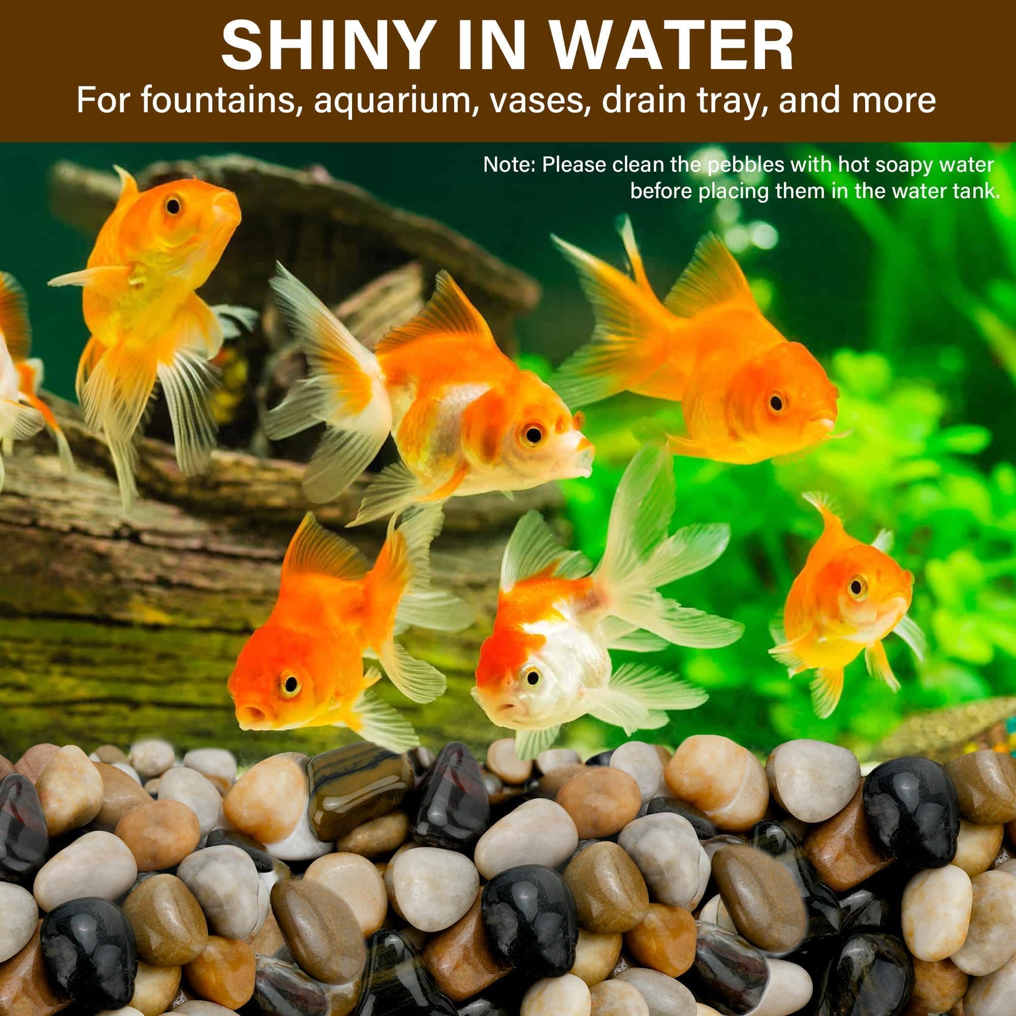 NUPICK stones for bonsai and cacti support healthy root growth.
