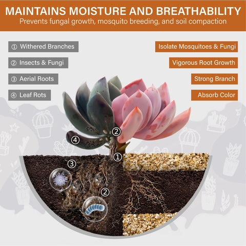 NUPICK succulent drainage sand improves aeration for healthy container plants