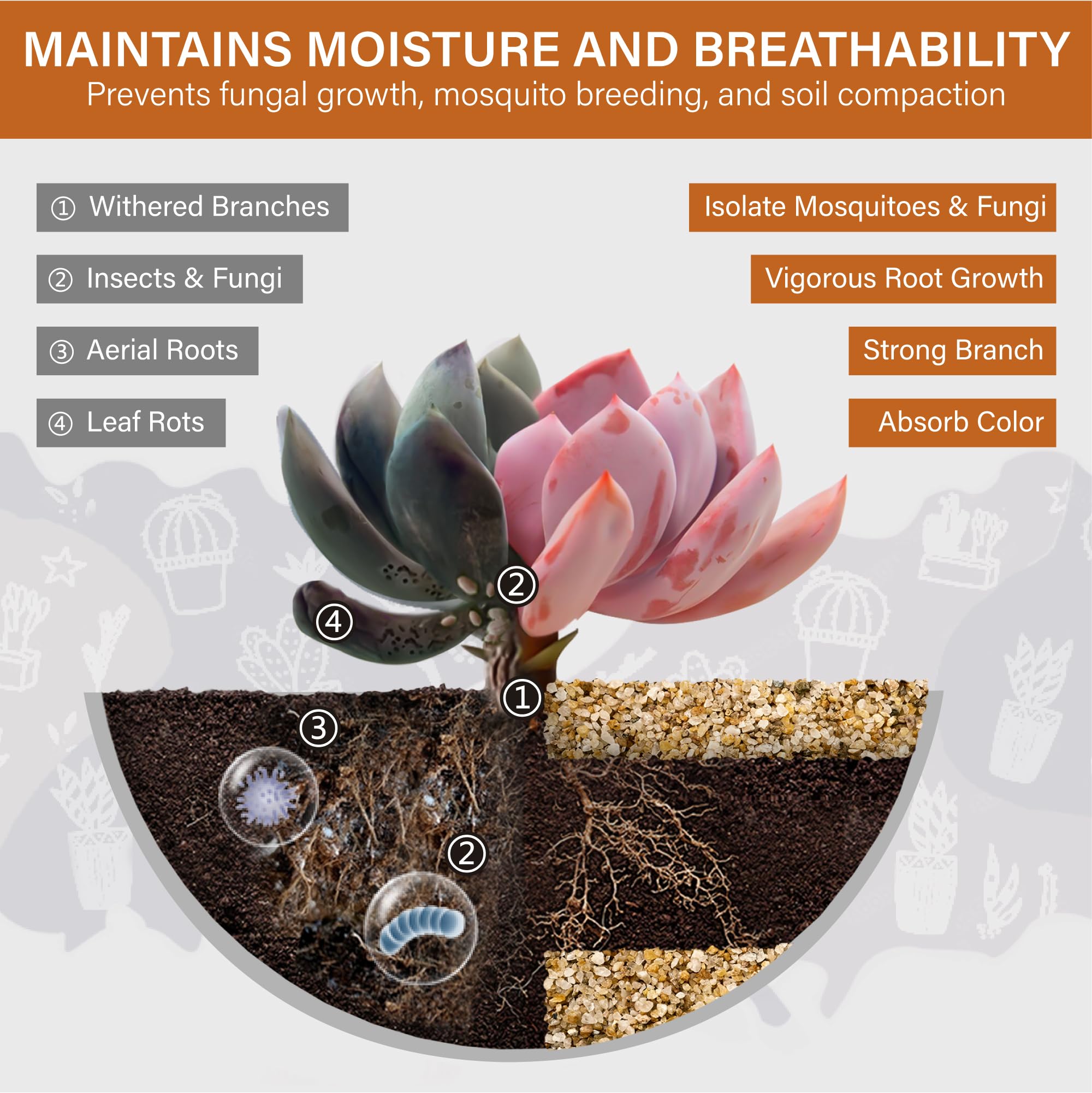 NUPICK succulent grit 3lb helps prevent soil compaction and supports healthy container growth.