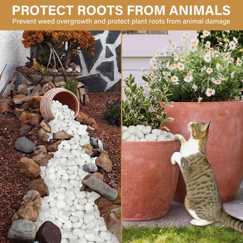 NUPICK plant stones protect soil and roots from disturbance and pet nibbling