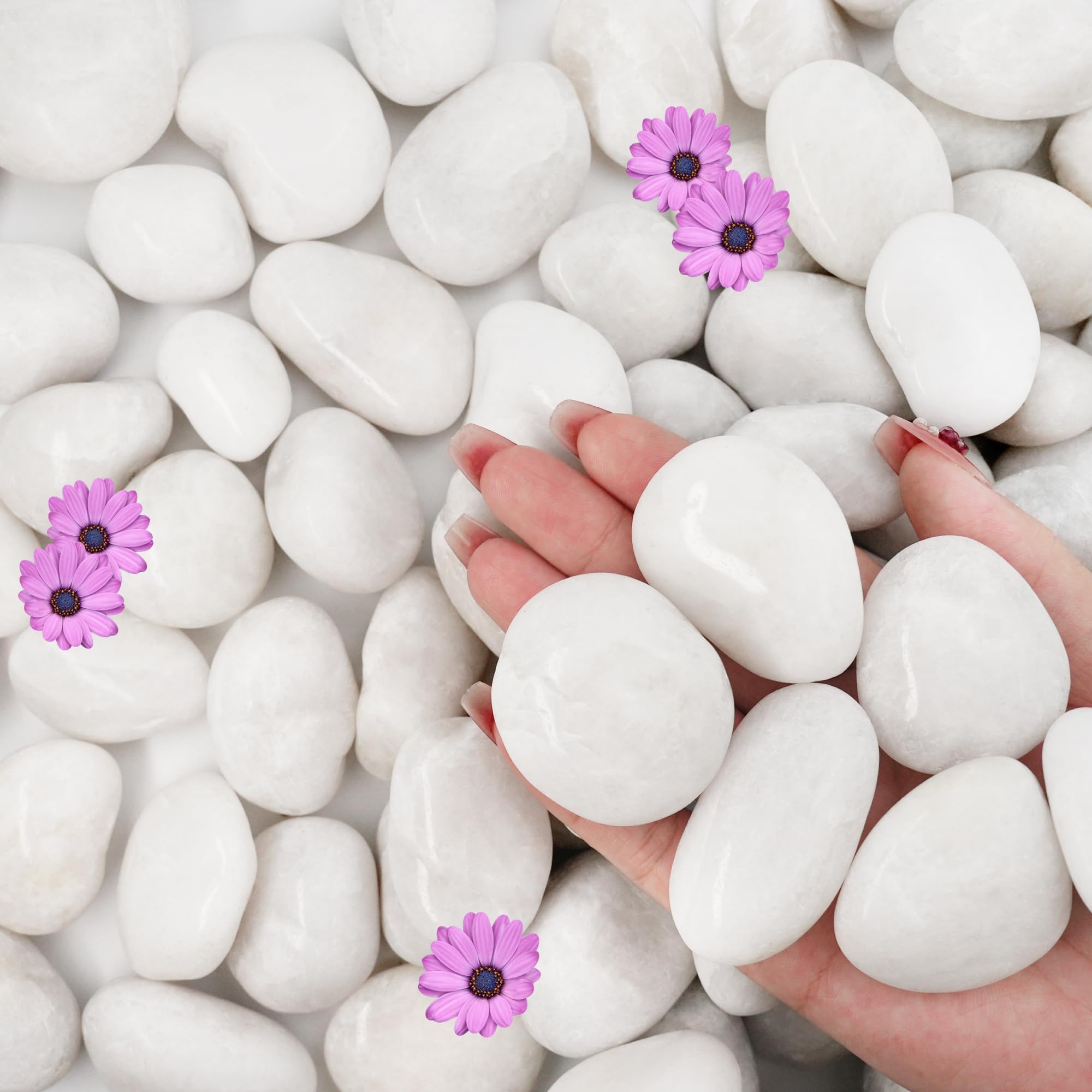 NUPICK White River Rocks 16lb for plants; enhance pot aesthetics and soil moisture