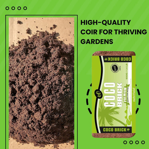 Nutrifield Coco Coir Brick pest-free and low salt index for safe start