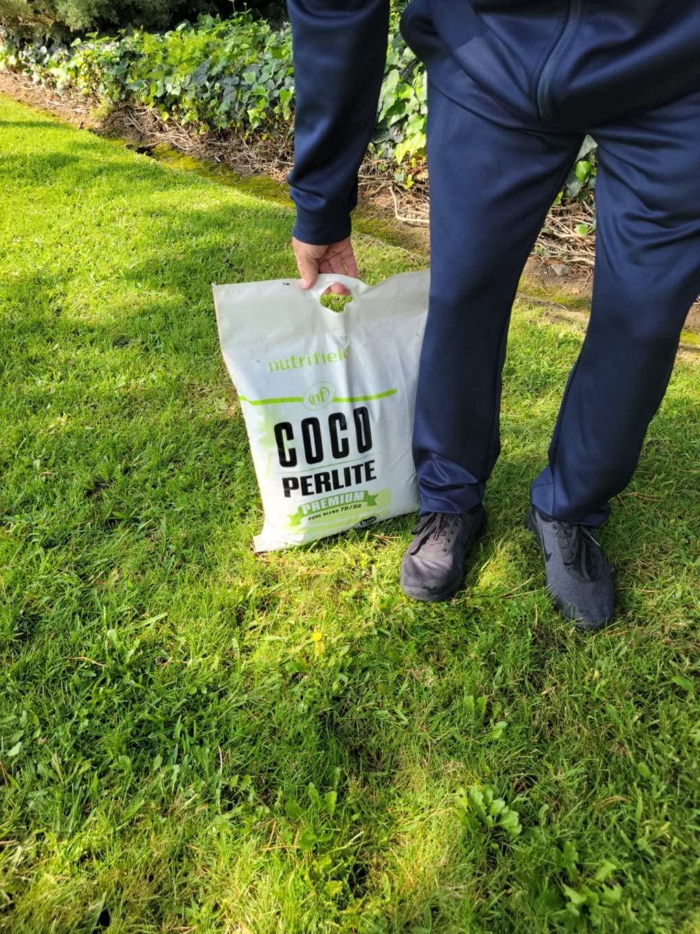 Nutrifield coco coir-perlite mix hydrated texture suitable for hydroponics.