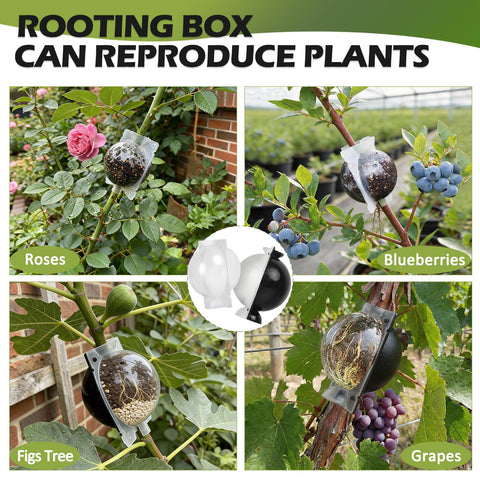 NVAAV propagation sphere with auto-lock buckles for secure cuttings.