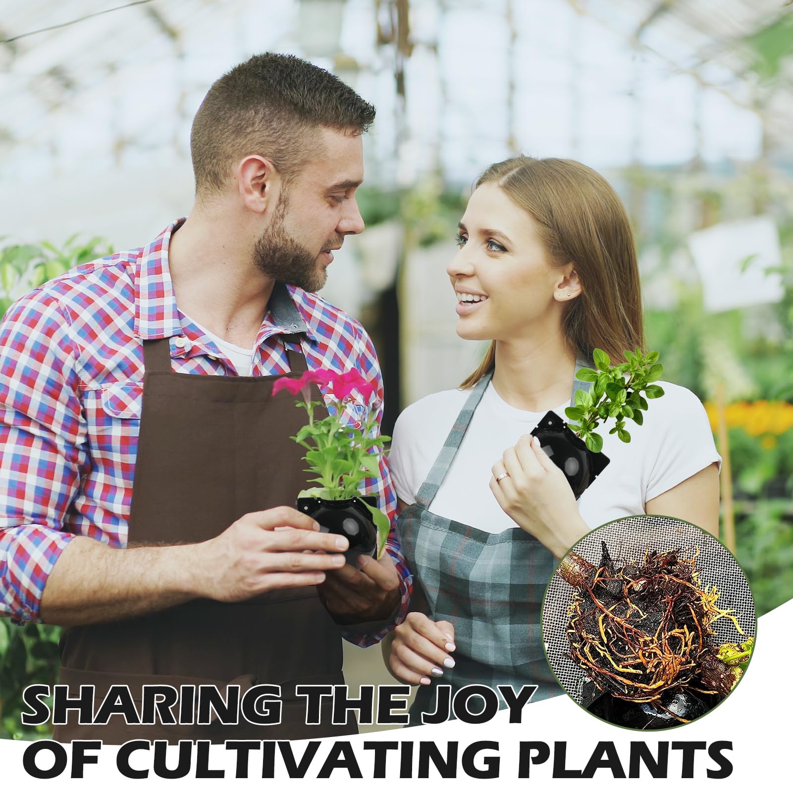 NVAAV suitable for roses, blueberries, grapes and more in propagation kit.