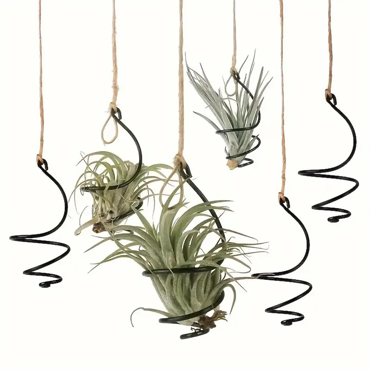 Nwsrayu 6-pcs hanging air plant holder set for stylish, clutter-free home decor.