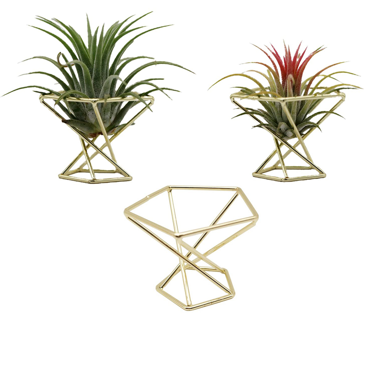 Nwsrayu geometric air plant holder in gold enhances modern decor and display.